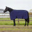 Berkfield Horse Blanket Navy Blue 115 cm Polyester 1