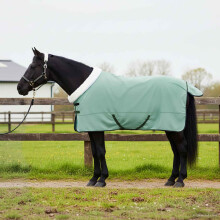 Berkfield Horse Blanket Special Green 155 cm Polar fleece