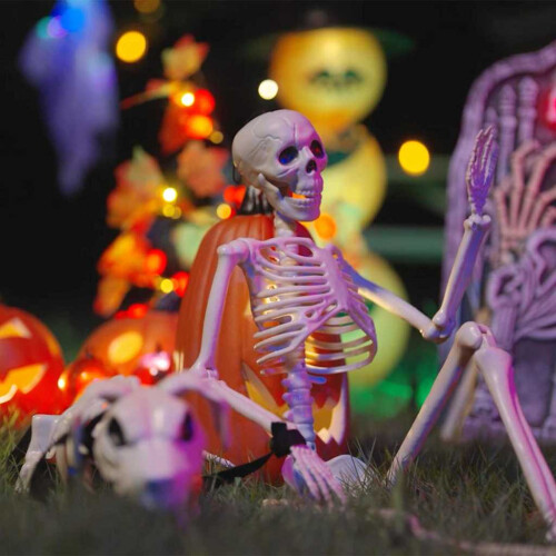 Berkfield Halloween Decoration Skeleton 2 pcs White Polypropylene