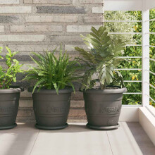 Berkfield Round Flower Pot 6 pcs Black ò 30 x 25 cm Plastic