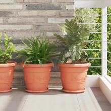 Berkfield Round Flower Tray 6 pcs Brick Red ò 21.5 x 2.5 cm Plastic