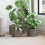 Berkfield Planter Basket with Storage 3 pcs Grey 1