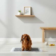 Berkfield Non-woven Fabric Pet Training Pad 50 pcs 60 x 60 cm
