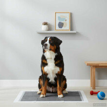 Berkfield Non-woven Fabric Pet Training Pad 300 pcs 120 x 80 cm