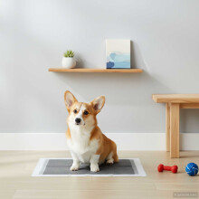 Berkfield Non-woven Fabric Pet Training Pad 100 pcs 90 x 60 cm
