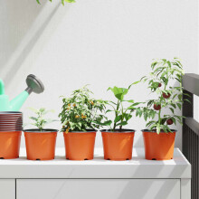 Berkfield Round Flower Pot 100 pcs Terracotta ò 10 x 8 cm Plastic