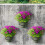 2 stk. ringformet blomsterkurvstativ til indendørs strygejern 4