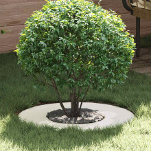 Berkfield suitable for Flat Tree Rings 5 pcs White ò30 / 60 cm Steel