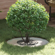 Berkfield suitable for Flat Tree Rings 5 pcs Silver ò30 / 60 cm