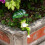 Statues de jardin de grenouilles, accessoires de-Boire du café 5