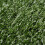 Berkfield Artificial Grass 7/9 mm 1x15 m Green 4