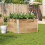 Berkfield Garden Planter 100x100 cm Solid Wood Pine 1