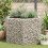 Berkfield Hexagonal Gabion Raised Bed 160x140x100 cm 3