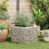 Berkfield Hexagonal Gabion Raised Bed 100x90x50 cm 3