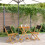 Berkfield 3 Piece Bistro Set Black Polypropylene and Solid Wood 1