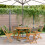 Berkfield 5 Piece Garden Dining Set Grey Polypropylene and Solid Wood 1
