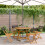 Berkfield 5 Piece Garden Dining Set Black Poly Rattan and Solid Wood 1