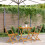 Berkfield 3 Piece Bistro Set Grey Polypropylene and Solid Wood 1