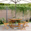 Berkfield 5 Piece Garden Dining Set Grey Poly Rattan and Solid Wood 1