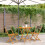 Berkfield 3 Piece Bistro Set Grey Polypropylene and Solid Wood 1