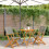 Berkfield 3 Piece Bistro Set Grey Poly Rattan and Solid Wood 1