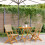 Berkfield 3 Piece Bistro Set Beige Poly Rattan and Solid Wood 1