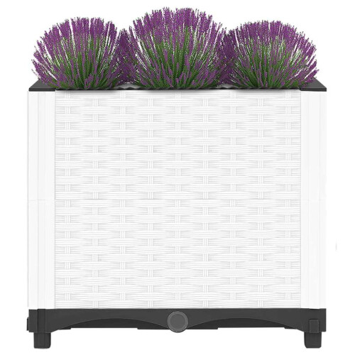 Berkfield Raised Bed 40x40x38 cm Polypropylene 2