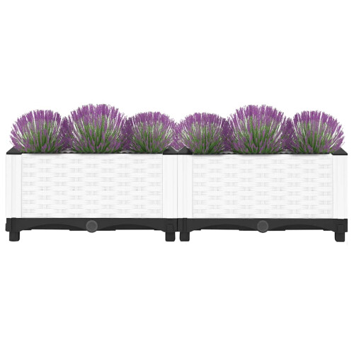 Berkfield Raised Bed 80x40x23 cm Polypropylene 2
