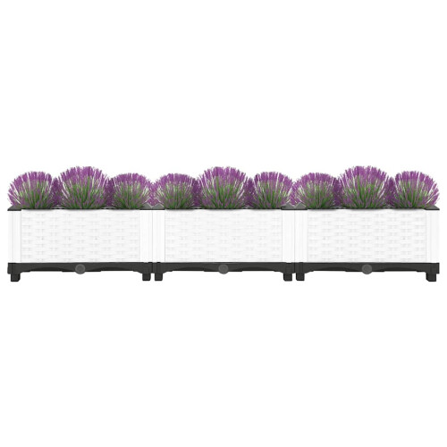 Berkfield Raised Bed 120x40x23 cm Polypropylene 2