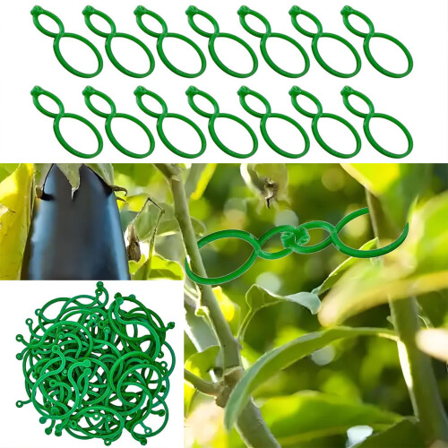Clips pour plantes grimpantes, 500 pièces/ensemble, Clips de 1