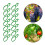 Clips pour plantes grimpantes, 500 pièces/ensemble, Clips de 4