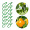 Clips pour plantes grimpantes, 500 pièces/ensemble, Clips de 5