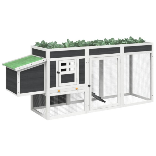 Berkfield Chicken Coop Grey 204x50x84 cm Solid Wood Pine 2