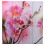 Berkfield Folding Room Divider 160x170 cm Flower 2