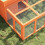 Berkfield Rabbit Hutch Brown 144x123x67.5 cm Solid Wood Pine 4