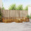 Berkfield Outdoor Sofa Set 8 pcs Natural 1