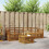 Berkfield Sofa Sets 5 pcs Natural Solid Acacia Wood 1