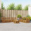 Berkfield Sofa Sets 8 pcs Natural Solid Acacia Wood 1