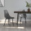 Berkfield Dining Chairs 2 pcs Grey PP 1