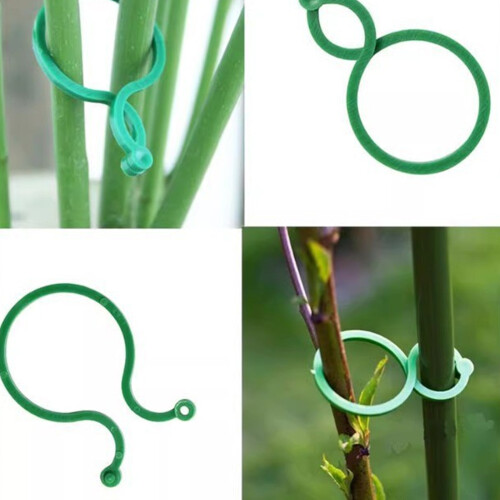 Kletterpflanzen-Clips, wiederverwendbar, Gartenstütze,-100 1