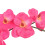Berkfield Artificial Orchid Plant with Pot 30 cm Red 2