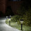 Berkfield Solar Pathway Lights with Ground Spikes 12 pcs White 1