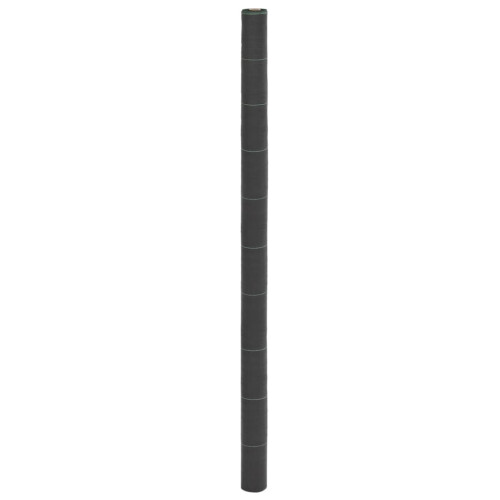 Berkfield Weed Membrane Black 2x100 m PP
