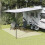Berkfield Tent Carpet Cream 6x3 m 1