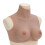 Berkfield Silicone Breastplate Tan C Cup 1