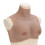Berkfield Silicone Breastplate Tan B Cup 1