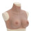 Berkfield Silicone Breastplate Tan C Cup 1