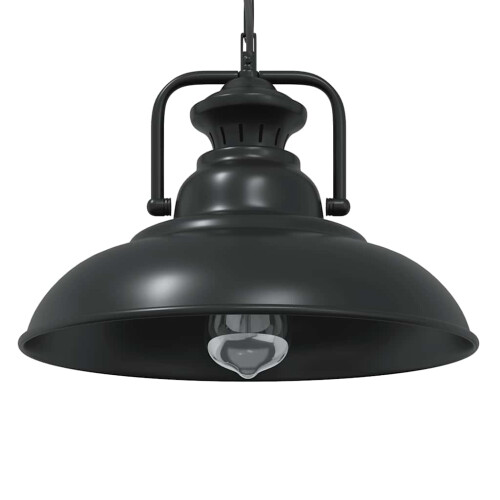 Berkfield Pendant Lamp E27 Black ò 31 cm Iron