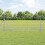 Berkfield Field Fence Silver 1