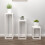 Berkfield 3 Piece Plant Stand Set White Solid Wood Pine 1